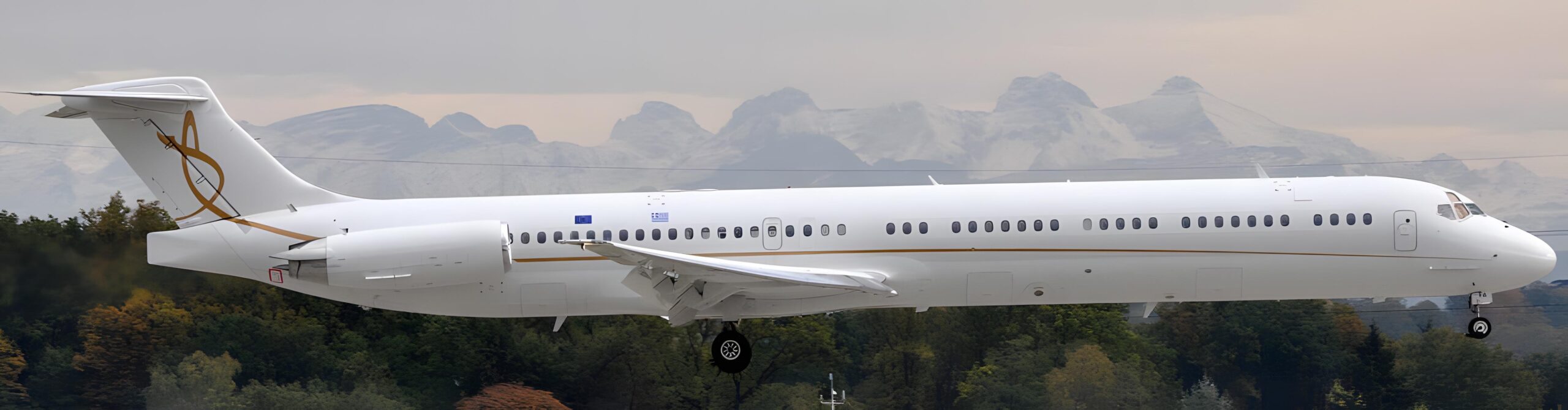 Read more about the article McDonnell Douglas MD-83 Executive