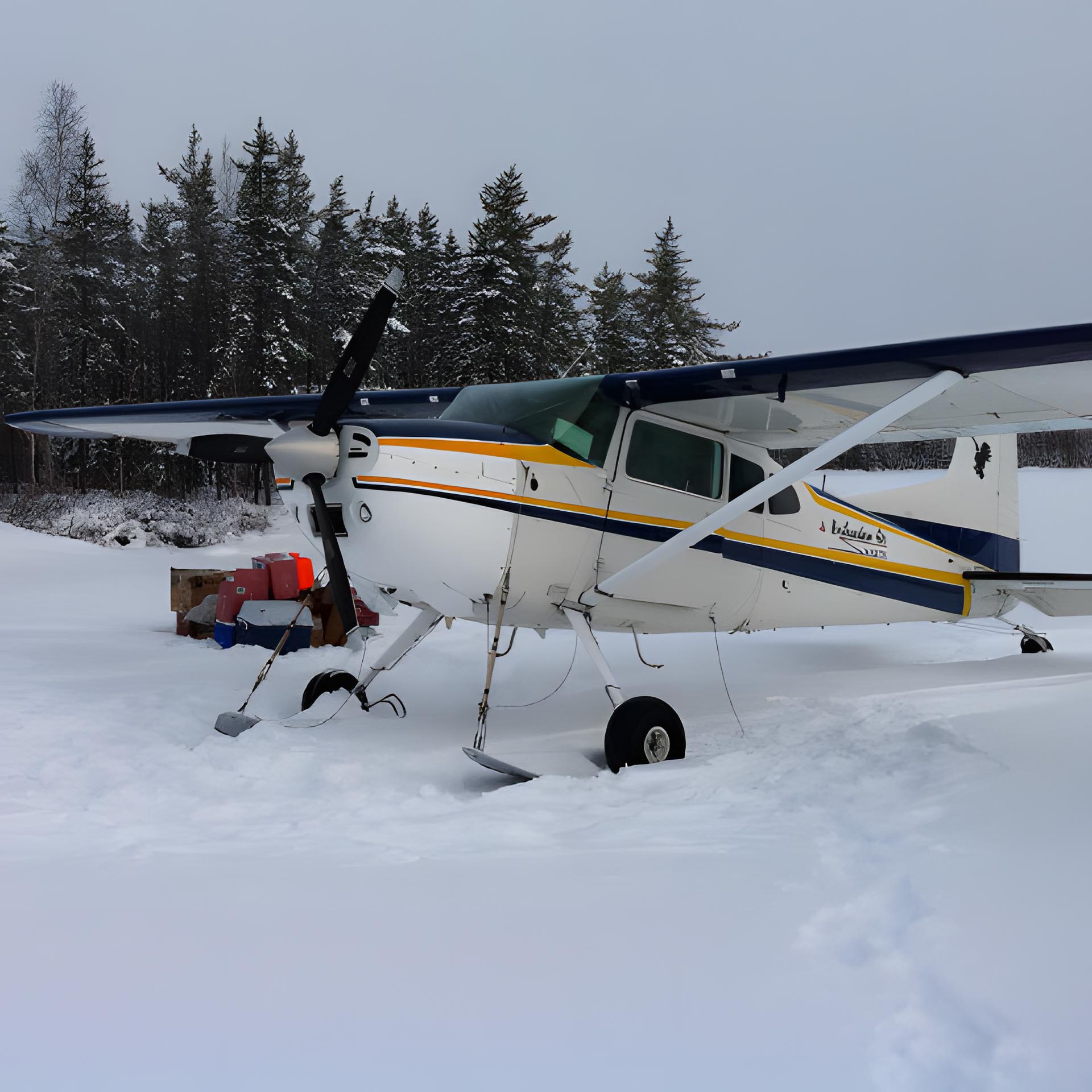 Read more about the article Cessna 185