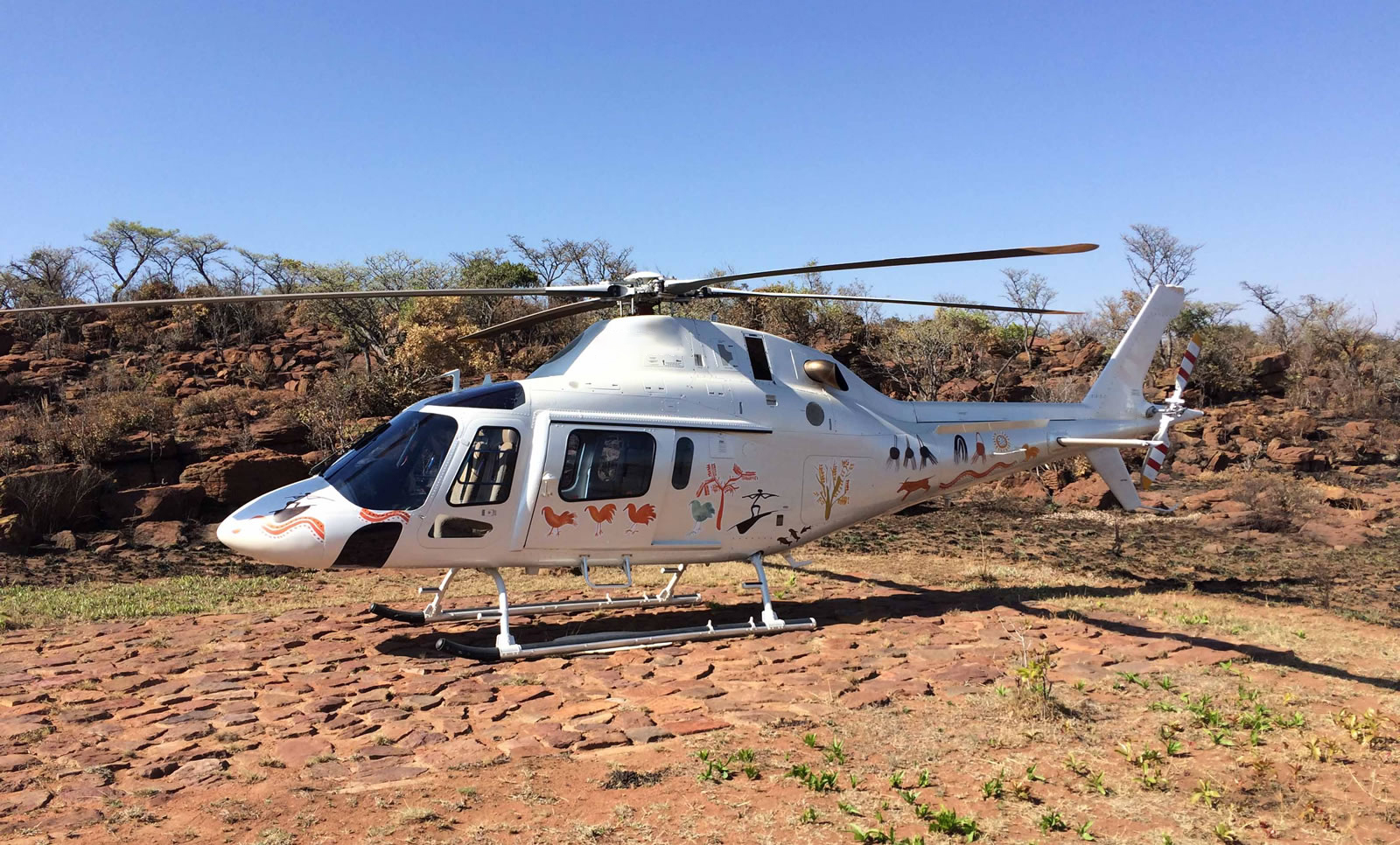 Read more about the article Agusta AW119